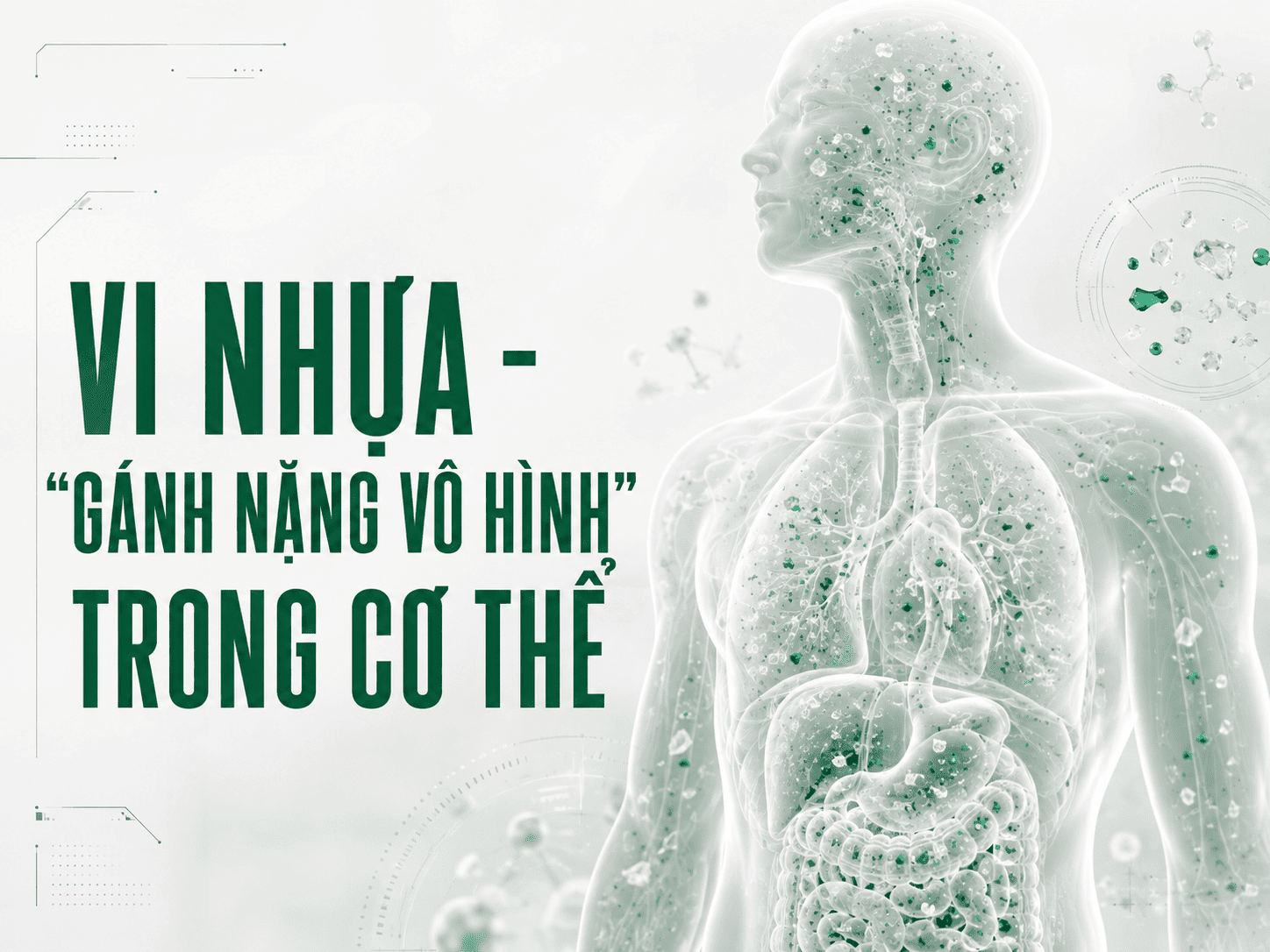 VI NHỰA TRONG CƠ THỂ: “GÁNH NẶNG VÔ HÌNH” VÀ GIẢI PHÁP THẢI ĐỘC HIỆU QUẢ